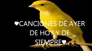 Pajaro Amarillo Combo De Belize  ♥CANCIONES DE AYER DE HOY Y DE SIEMPRE♥