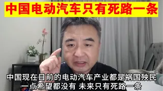 翟山鹰：中国电动汽车未来只有死路一条丨比亚迪丨特斯拉