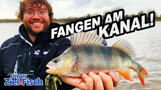 WINTER BARSCHE am NORD-OSTSEE-KANAL: STRUKTUR LESEN & VERTRAUEN - Unser Ziel ist Fisch - Angelschule