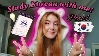 Let's Study Korean with me! | looking through my old notes, new vocab + test!!!