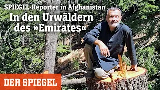 SPIEGEL-Reporter in Afghanistan: In den Urwäldern des »Emirates« | DER SPIEGEL