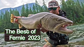 The Best of Fernie BC 2023; Fly fishing in the Elk Valley - Canada