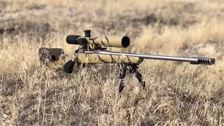 The Tikka T3x Review Stainless Lite 243, Best factory rifle for less than $1,000!