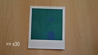 Timelapse: How a Polaroid Image develops