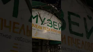 Музей меда и пчеловодства в Ульяновске