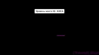 Муд: киса или уровень моего IQ: КИСА