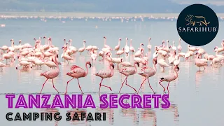 Tanzania Camping Secrets Safari | Ngorongoro Crater | Tarangire National Park | Safarihub