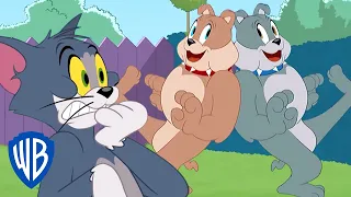 Tom & Jerry | Spike's Brother | WB Kids