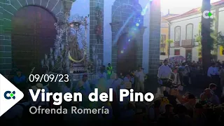 Ofrenda Romería a la Virgen del Pino | 2023