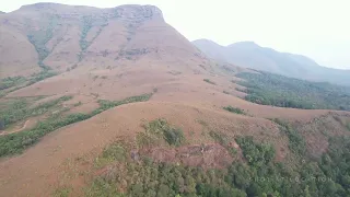 View from top at Amyra Farms coffee estate