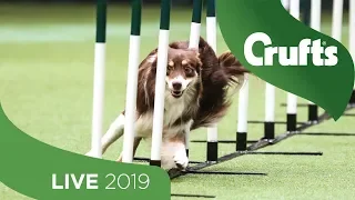 Crufts 2019 Day 4 - Part 1 LIVE