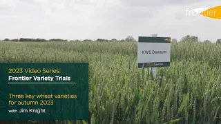 2023 Frontier variety trials | Three key wheat varieties for autumn 2023 | #3DThinking