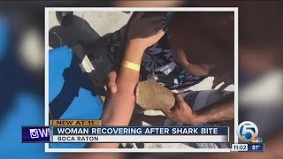 Woman taken to hospital with shark still attached to her arm