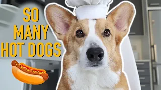 HOT DOG PRANK! - Topi the Corgi