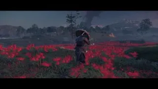 Flawless Victory - Ronin Duel - Ghost of Tsushima