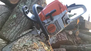 Stihl MS 241 C-M ideal for home