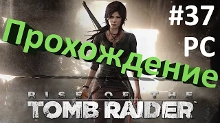 Rise of the Tomb Raider #37 Затерянный город - Замерзший город