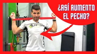 ¿AUMENTAR el PECHO 💪 con BANDAS elásticas CORTAS? ✅ (Te ENSEÑO lo que debes y NO debes hacer) ❗️