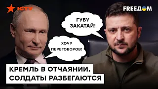 Россияне БЕГУТ! Кремль в УЖАСЕ кричит о переговорах - @OlegZhdanov