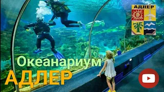 Адлер Океанариум Обзор, очень красивое место, всем рекомендую посетить 🌊🐠