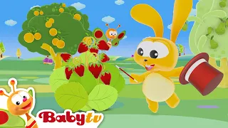 Tiny Bunch | Magic Tricks  🎩 | Kids Cartoons | Full Episode | Videos for Toddlers @BabyTV