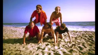 Barbara Ann (2016 Stereo Remix) - The Beach Boys