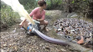 Catch fish | Using pumps, pumping water outside the natural lake, catching many big fish Ep03