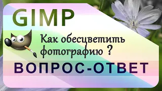 6. Как обесцветить фотографию в GIMP.