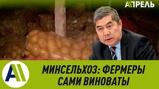 Минсельхоз КР: фермеры сами виноваты в убытках  14.02.2019  Апрель ТВ