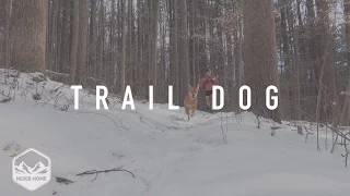 Trail Dog