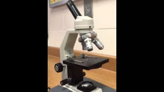 Parts & Functions of Microscope