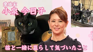 【小泉今日子】猫と一緒に暮らして気づいたこと