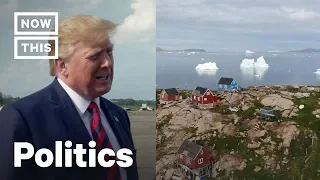 Trump Cancels Denmark Trip After Learning He Can’t Buy Greenland | NowThis