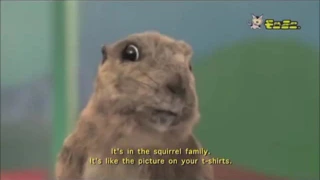 Dramatic Chipmunk Breaks Out to be continued meme