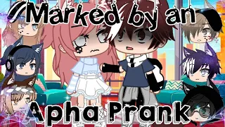 Marked by an Alpha Prank! | Gacha Club | Prank Wars #5 (Fail?) | Audrey Cookie