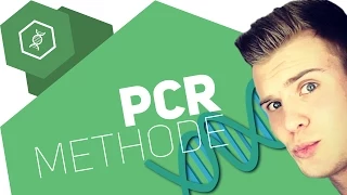Die PCR-Methode einfach erklärt