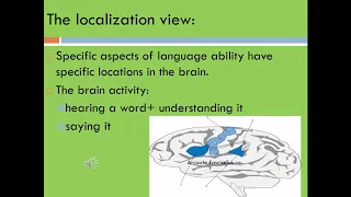 Neurolinguistics  / The language and the brain