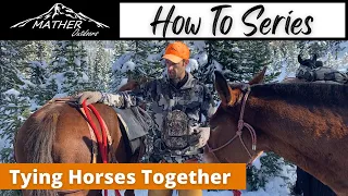 Tying Horses Together in a Pack String