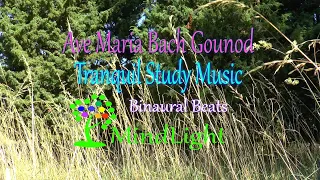 Ave Maria Bach Gounod Tranquil Classical Music for Studying and Concentration