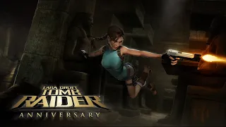 Tomb Raider: Anniversary / ps 2