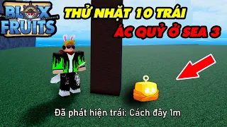 Thử Truy Tìm Nhặt 10 Trái Ác Quỷ Ở Sea 3 || Blox Fruits!