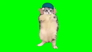 Cat Dancing to Girlfriend (HD GREEN SCREEN)