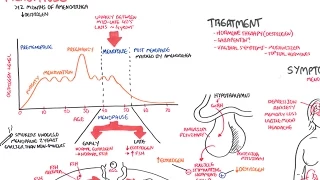 Menopause