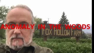 FOX HOLLOW FARM - ANOMALY IN THE WOODS