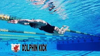 Dolphin Kick at The Race Club