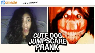 Cute Dog JUMPSCARE PRANK on Omegle #6!