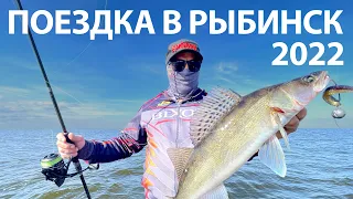 Осенняя рыбалка на Рыбинском водохранилище