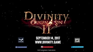 divinity original sin 2 combat spotlight 360p