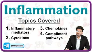 Chronic Inflammation || Wound Healing & Granuloma - Pathology Lecture 4