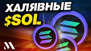 Metaplex – получаем $SOL нахаляву?! Бесплатные $ для Solana флиперов!